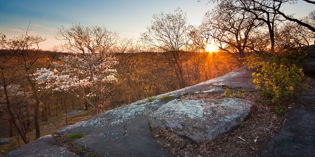 Stockbridge shelter in Harriman State Park, New York