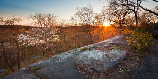 Stockbridge shelter in Harriman State Park, New York